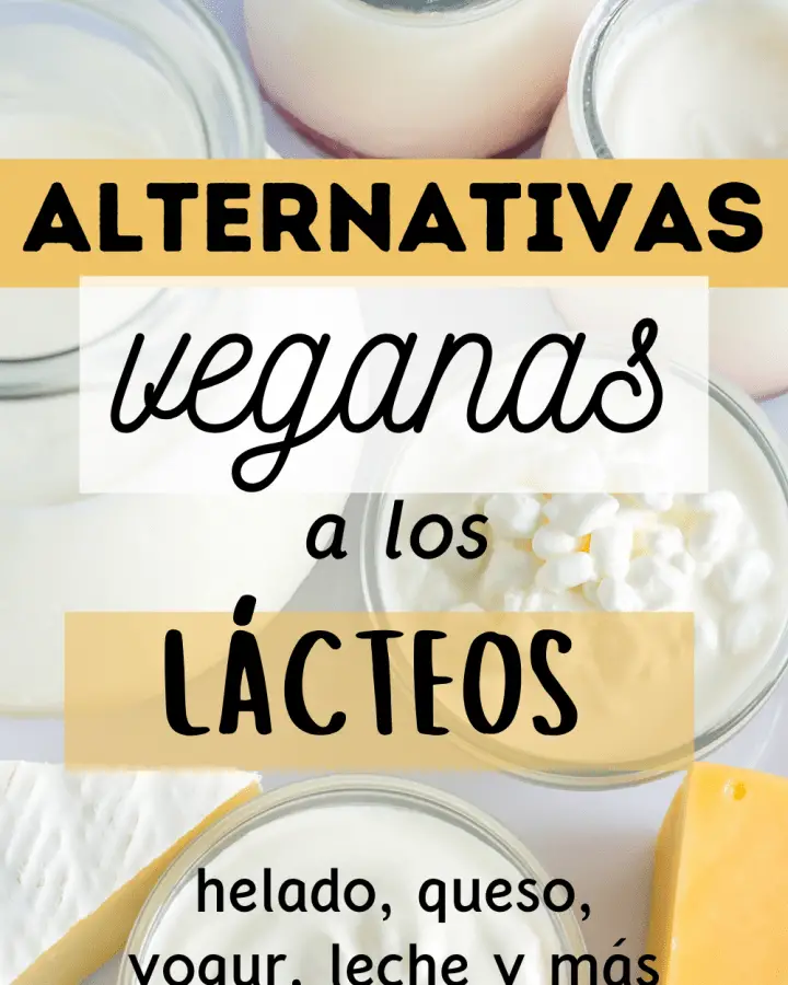 Alternativas veganas a los lácteos: leche, queso, helado, yogur, nata....